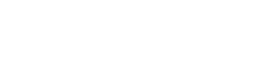 MIE SEIKI Logo